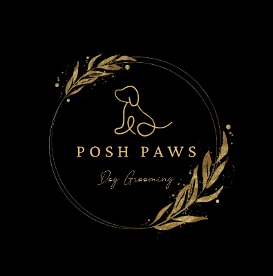 Evesham Recommended Businesses & Events Posh Paws Dog Grooming in Evesham England