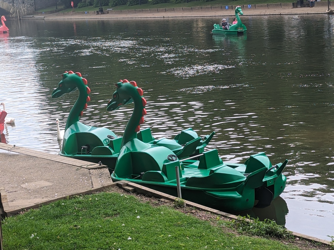 Dragon Boats on the River Avon