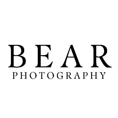 Bear Photography